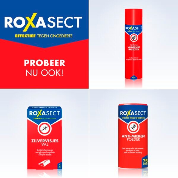 Roxasect Spray mot krypende insekter og veps 400 ml