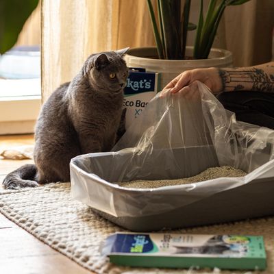 Biokat's Eco Bags XXL