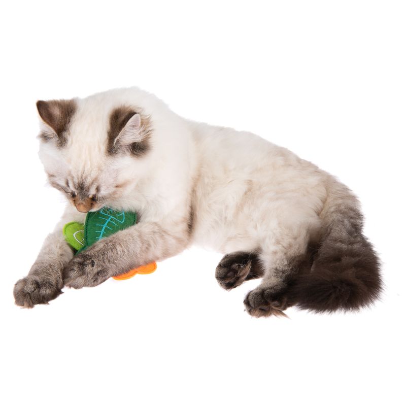 Katzenspielzeug Marlin zu TOP-Preisen