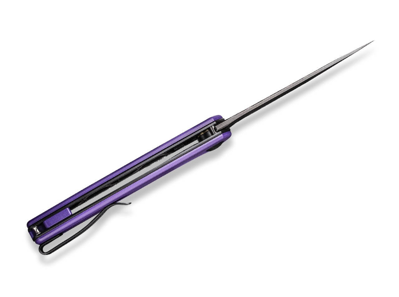 Mini Asticus Purple G10