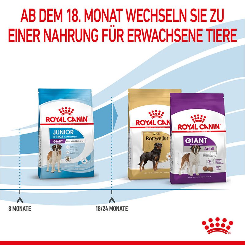 Royal Canin Giant Junior