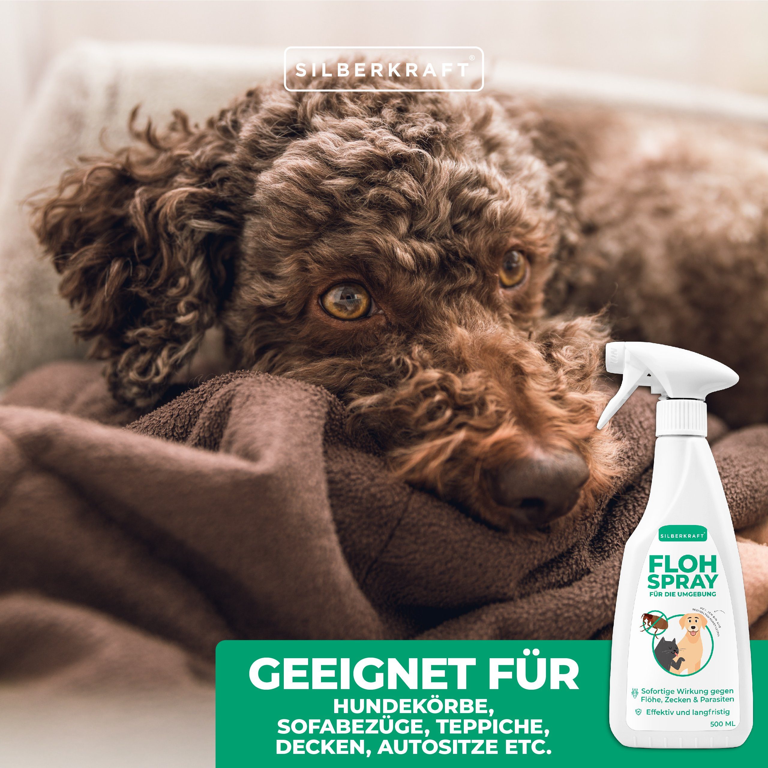 thies Insektenspray Flohspray für die Umgebung, 500 ml, 1-St.