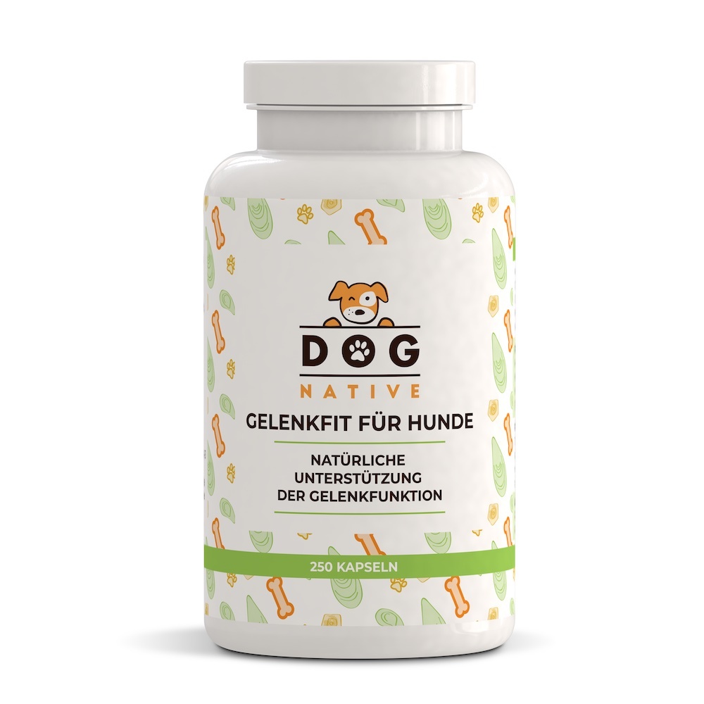 Dog-Native Ergänzungsfutter & Aufzucht Dog-Native Gelenkkapseln für Hunde, natürliche Gelenk-Kapseln mit Grünlippmuschel, MSM, Kollagen-Hydrolysat und Chondroitin, hochdosiert für Gelenke, 250 Kapseln