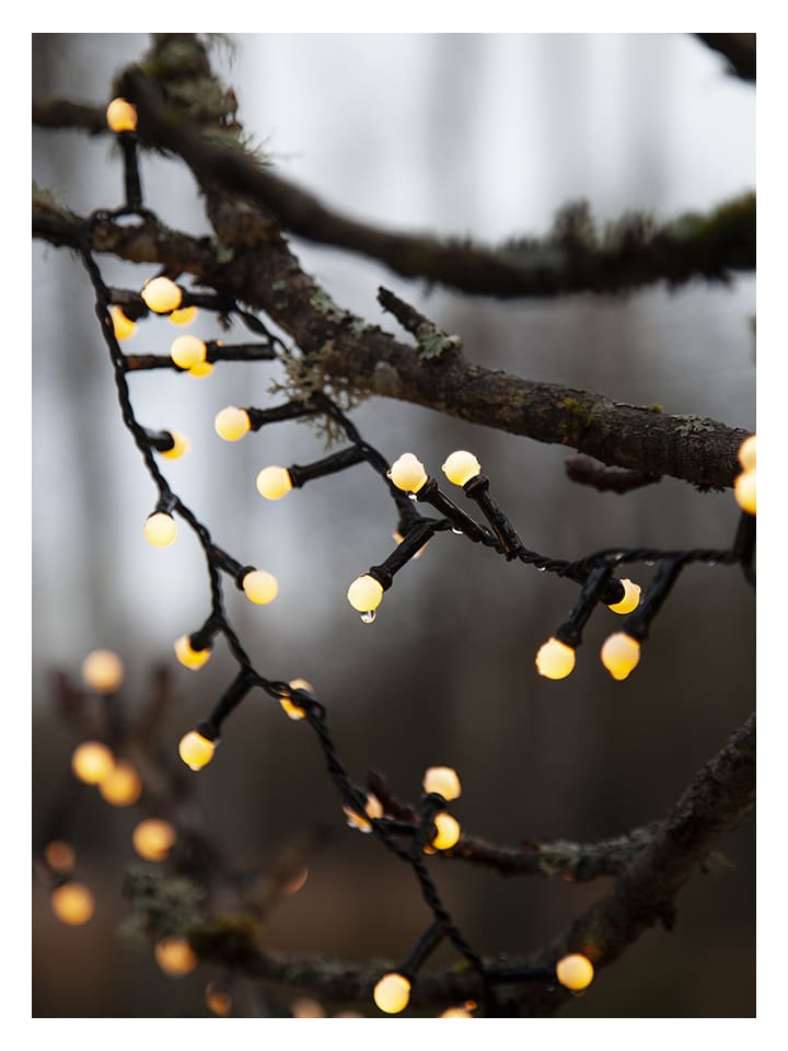 STAR Trading LED-Lichterkette 