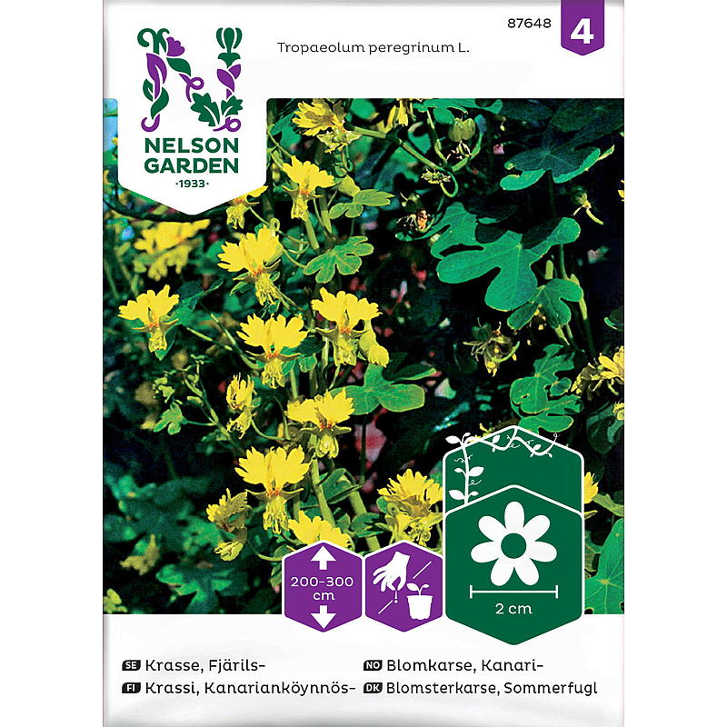 Nelson garden Frø Blomkarse Kanari-, gul