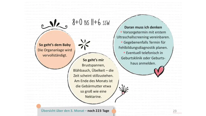 Deine Schwangerschaft, Tag für Tag