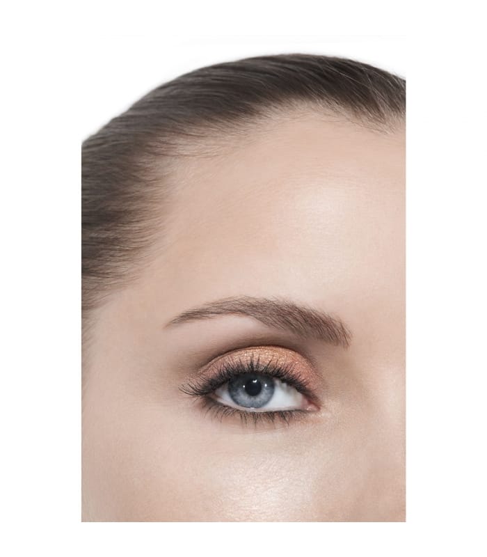Chanel-LES BEIGES-Palette Regard Belle Mine Naturelle