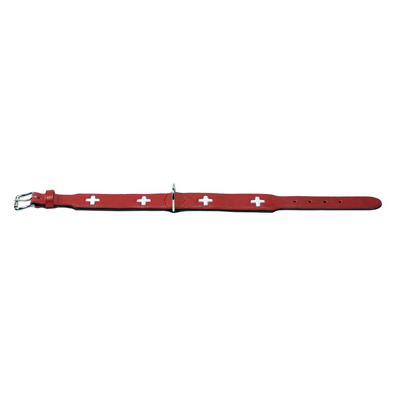 Sparset HUNTER Hundeleine + Halsband Swiss