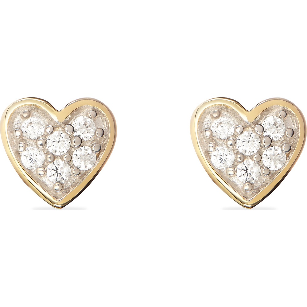 FAVS Boucles d'oreilles à fermoir à poussette 375 Or jaune Boucles d'oreilles