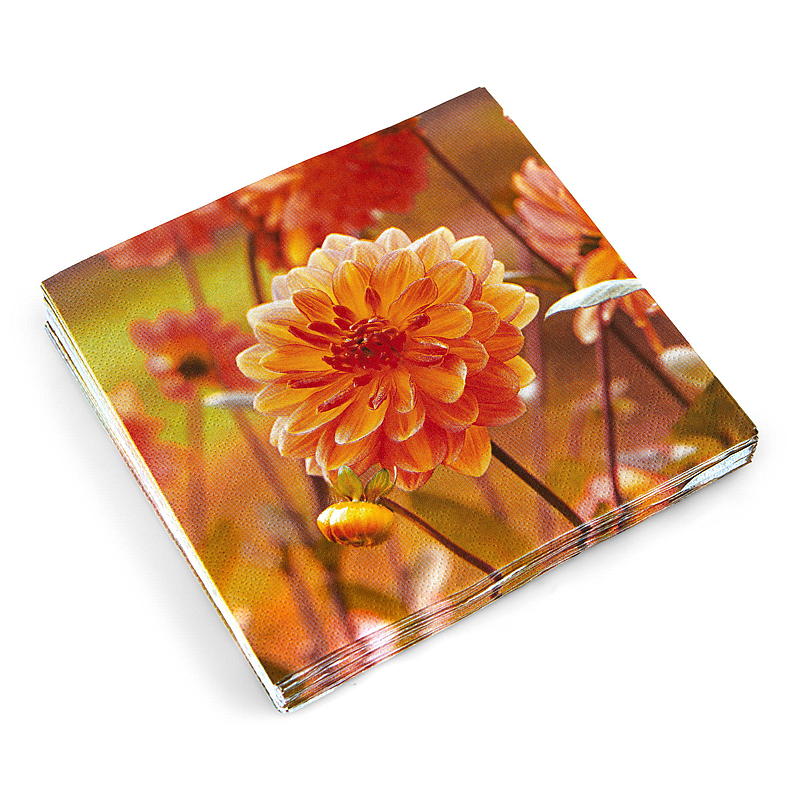 Vie Eco Servietter 20-pk 33x33 cm