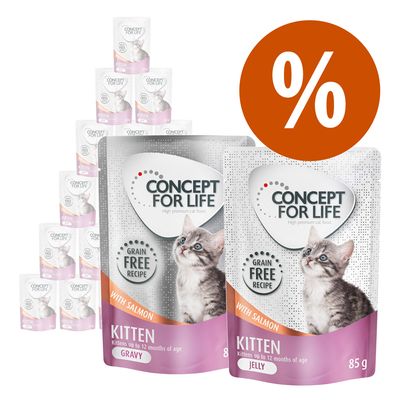 24 x 85 g Concept for Life getreidefrei Kitten Gelee & Soße zum Sonderpreis!