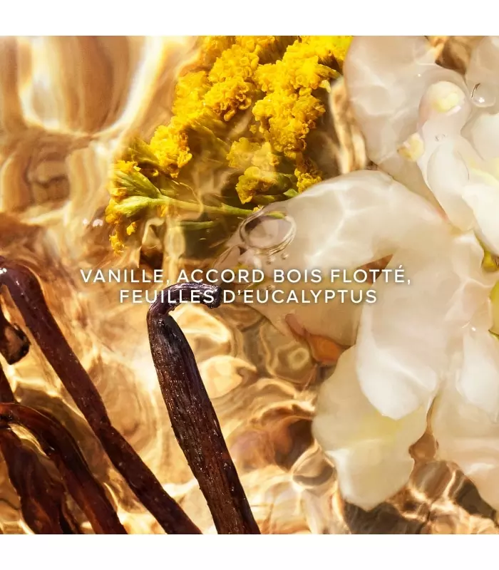 AQUA ALLEGORIA FORTE  Bosca Vanilla - Eau de Parfum