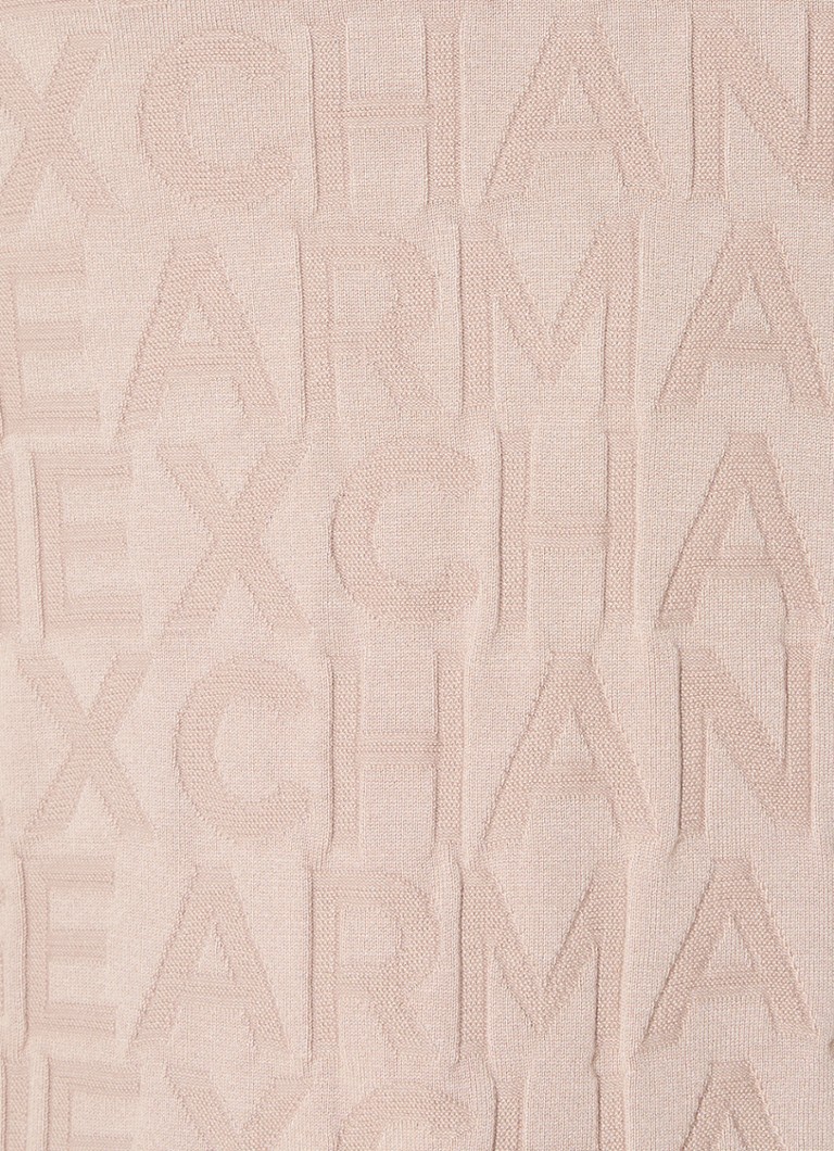 Felpa con cappuccio Armani Exchange in maglia fine con logo stampato