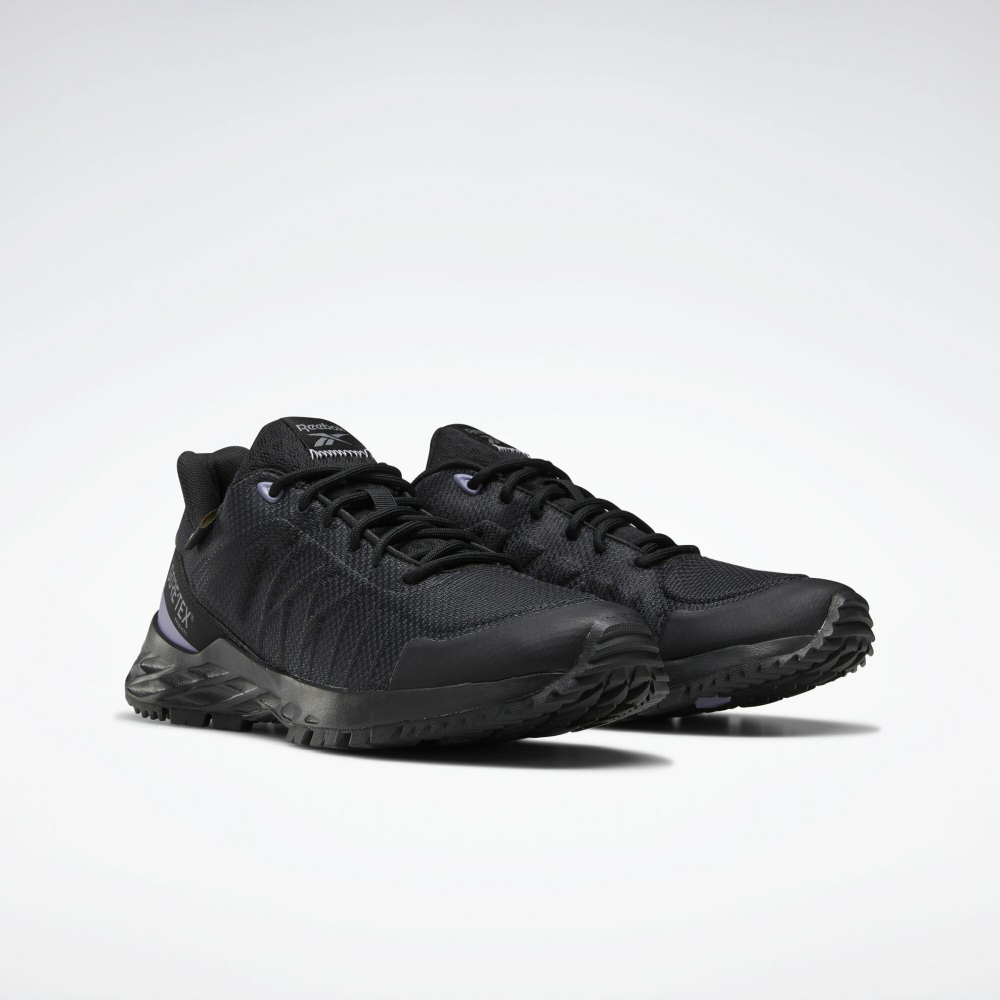 Reebok Astroride Trail gtx 2.0 EF4179 / schwarz