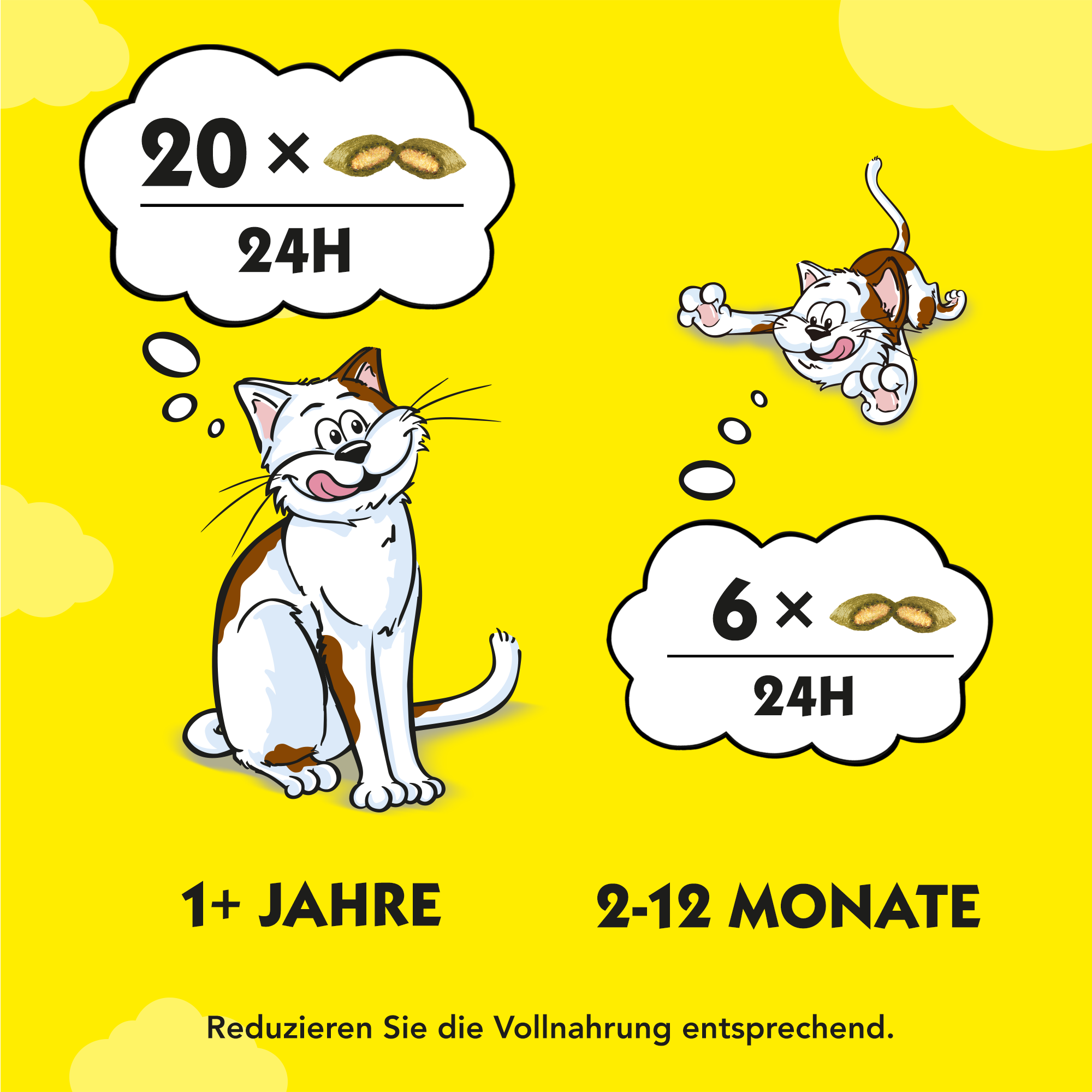Dreamies Snacks Dreamies 6x60g Katzenminze