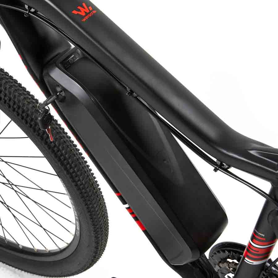 E-Bike Pedelec Anyway E200, von Wayscral - ATU