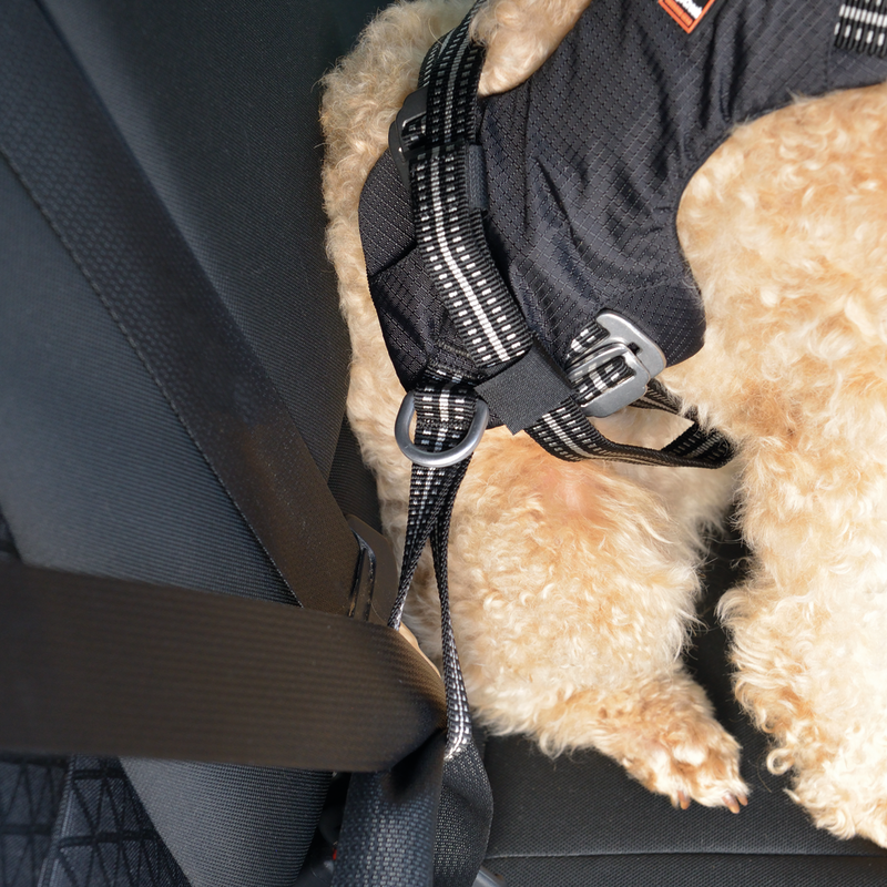 Dogs Creek Hundegeschirre Dogs Creek Auto-Sicherheitsgeschirr Renegade S