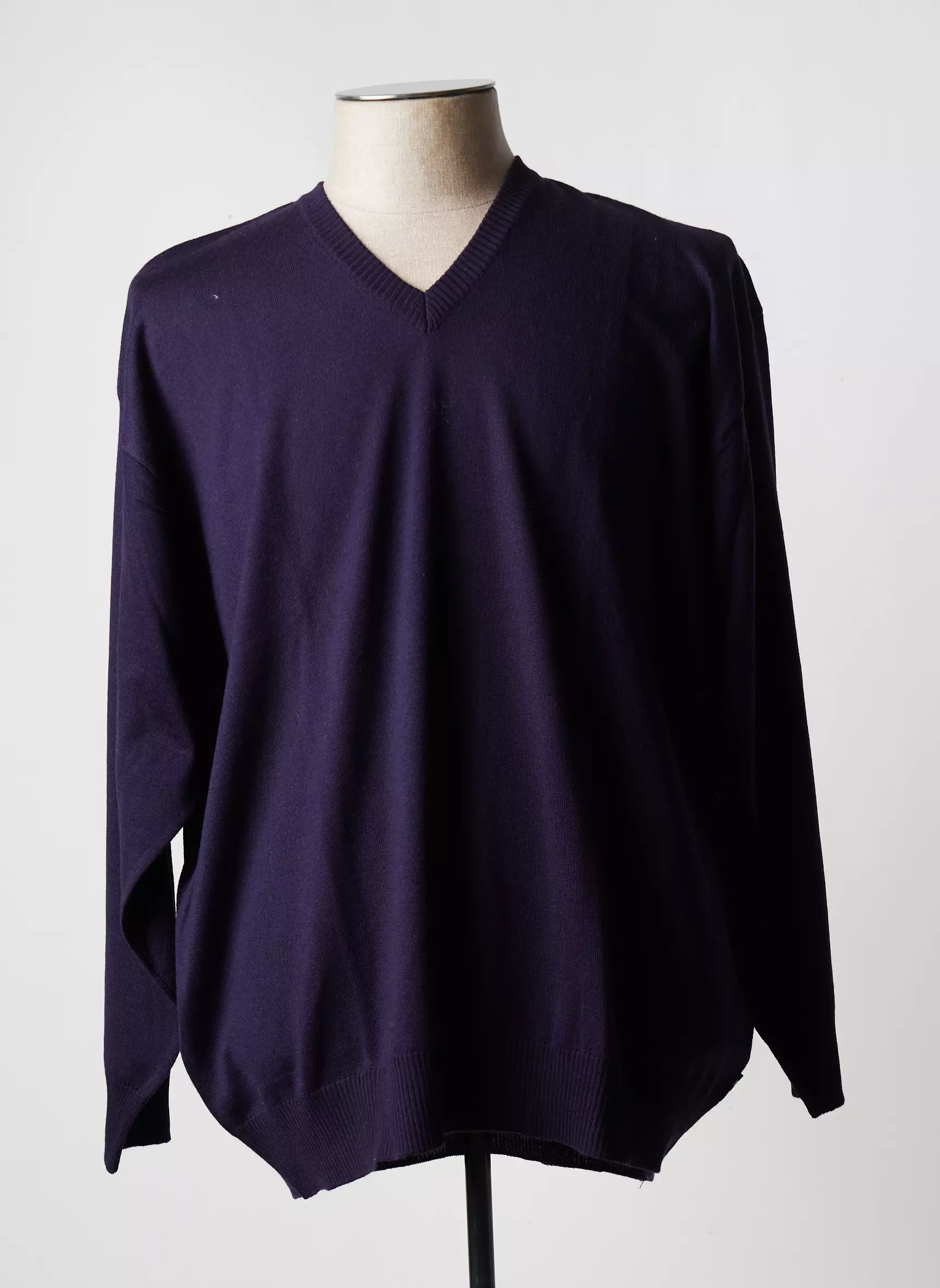 Maxfort Pulls Homme couleur violet