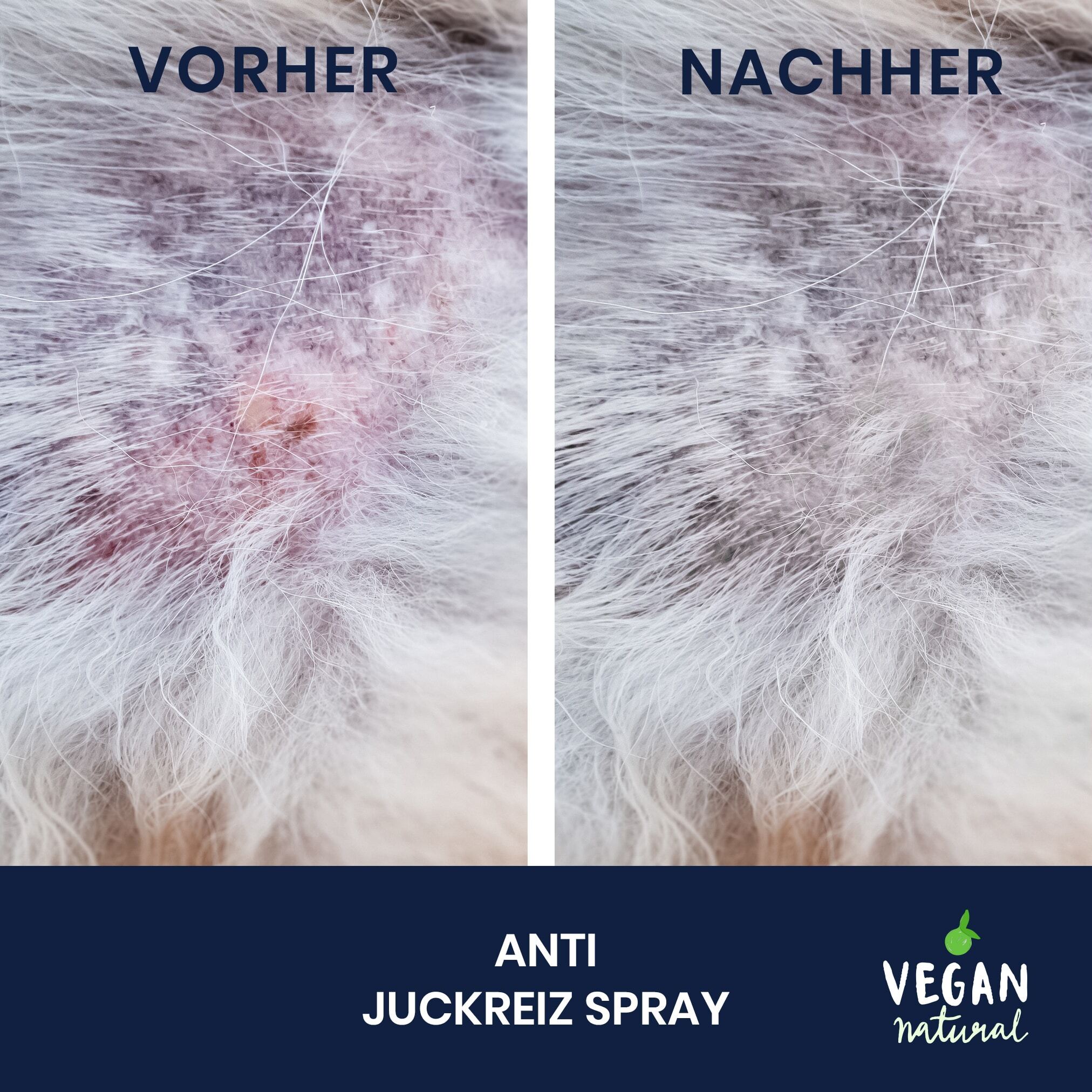 Pawlie's Fellpflege Pawlie's Juckreiz Spray Hunde & Katzen