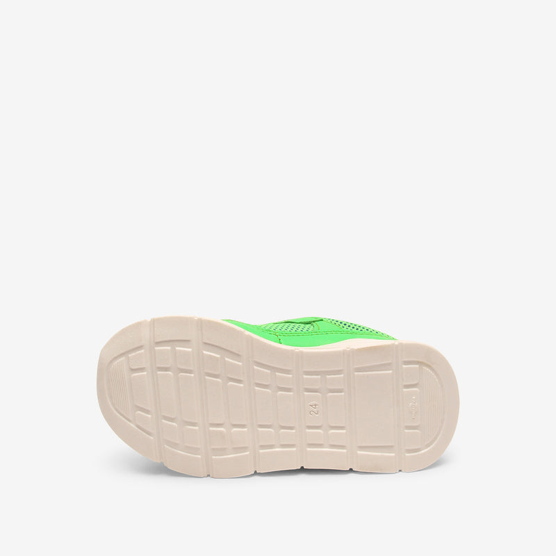 pan e tex neon green - Grün