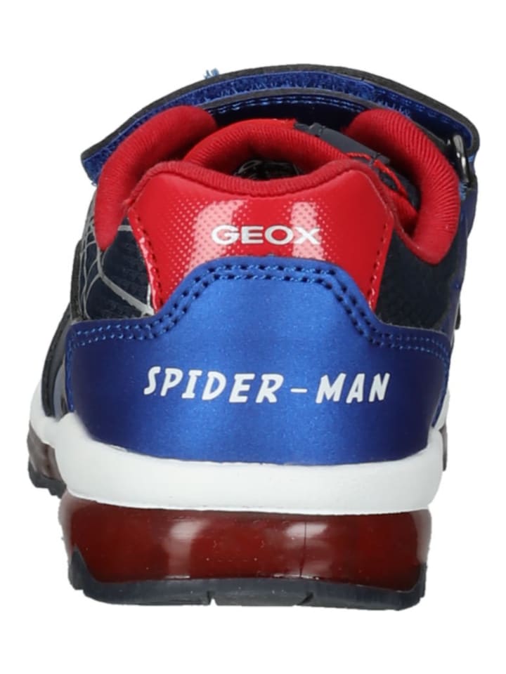 Geox Sneaker in Navy/Rot günstig kaufen