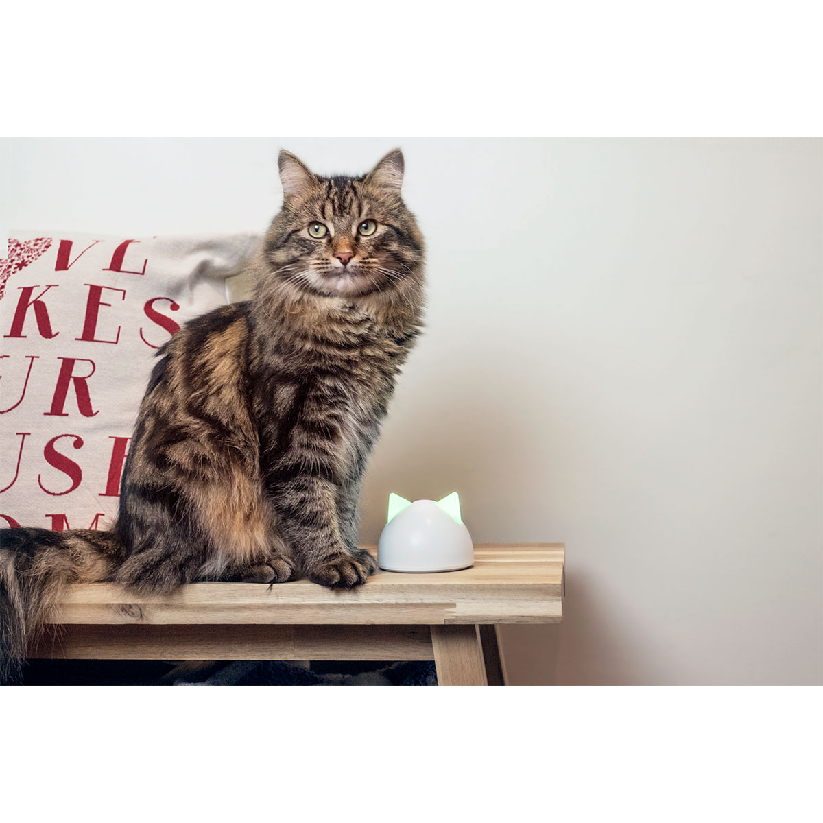 Sure Petcare SureFeed Mikrochip Futterautomat Connect + Hub