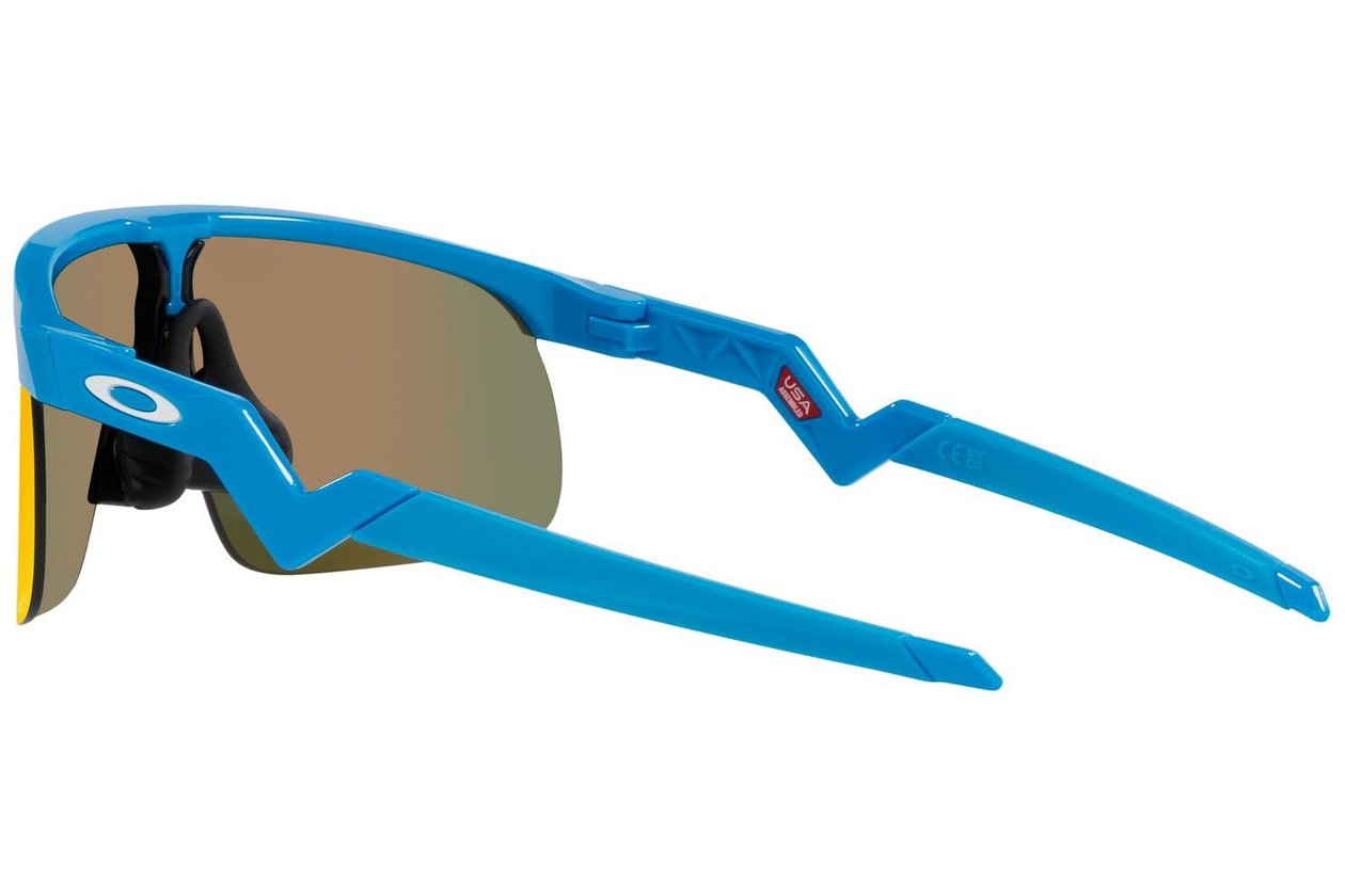 Oakley Resistor Sky Blue/Prizm Ruby