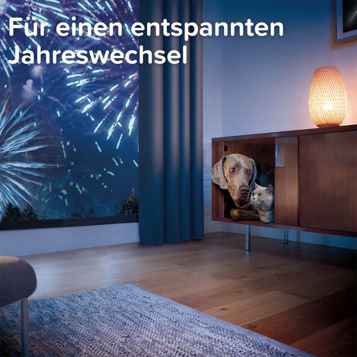 beaphar CaniComfort Wohlfühl Spot On 3x1ml kaufen bei ZooRoyal