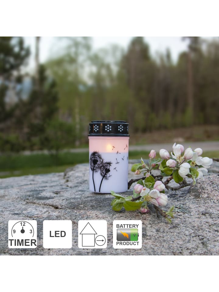STAR Trading LED Grabkerze 'Dandelion', Timer, 12cm günstig kaufen onesize