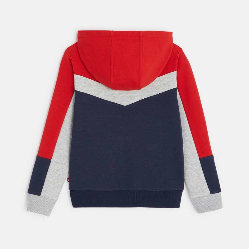 Sweat-shirt 3 couleurs à capuche bleu garçon