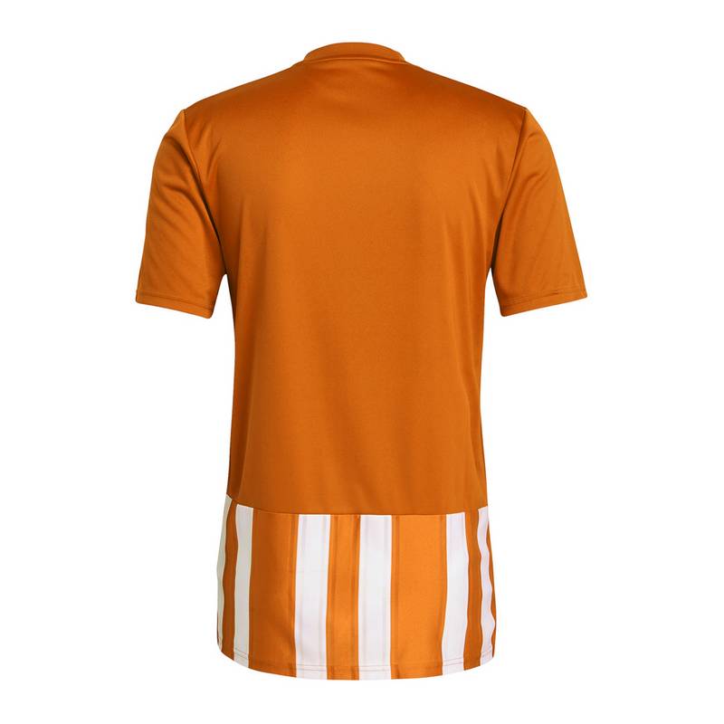 adidas Striped 21 Trikot kurzarm Trikot