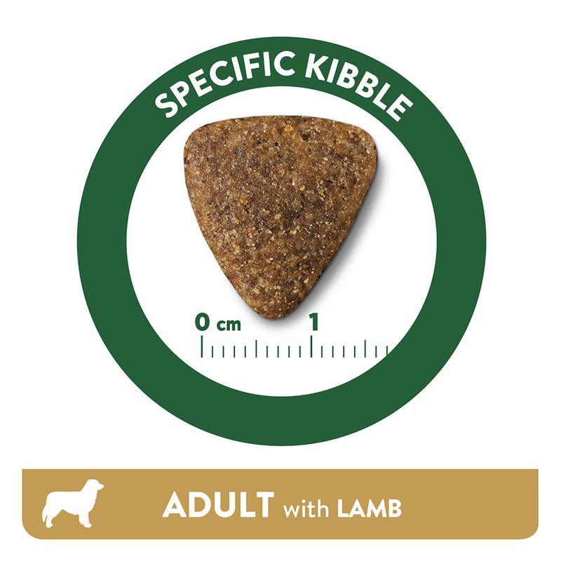 Libra Adult Lamm