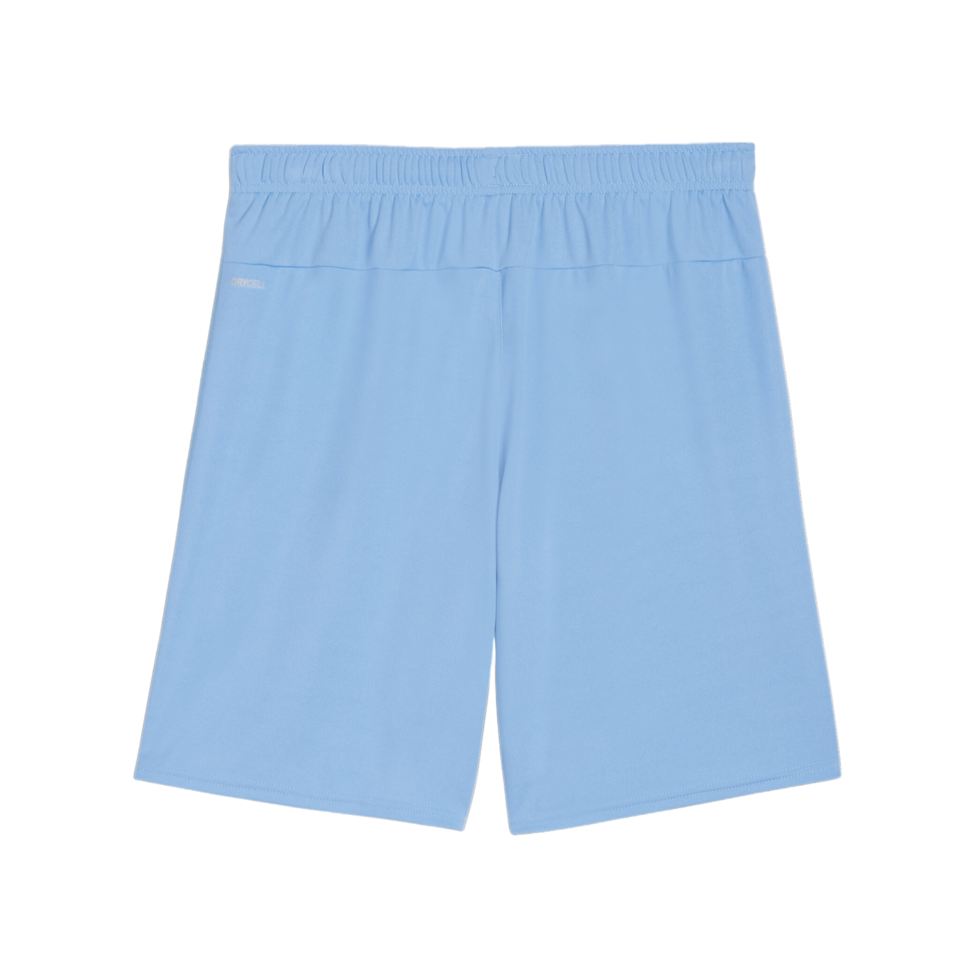 PUMA teamGOAL Short Blau Weiss F18