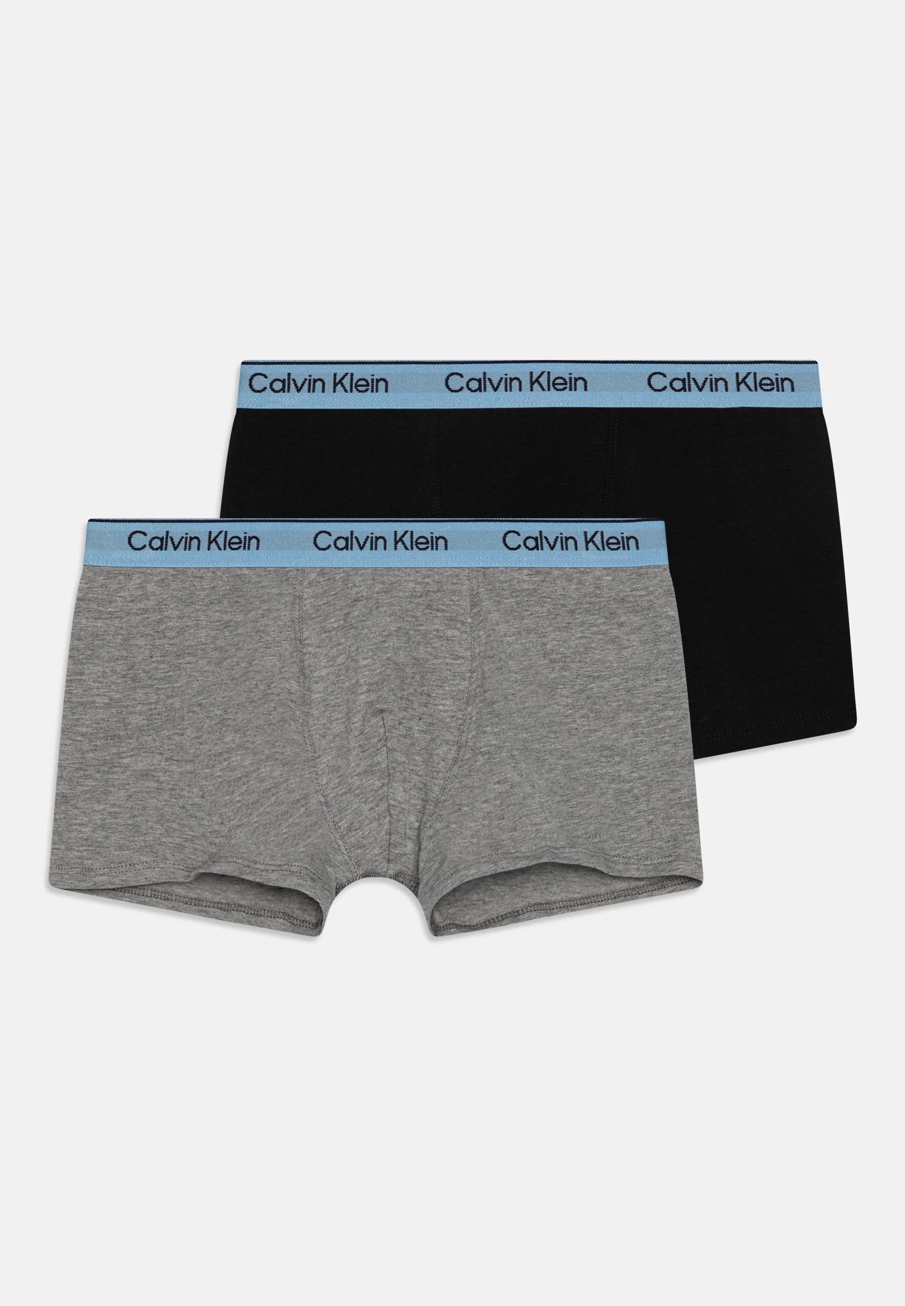 Calvin Klein Underwear TRUNK PACK DE 2 - Culotte