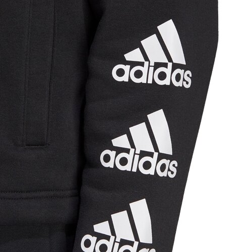 DAMEN KAPUZENSWEAT W STACKED FZ HD