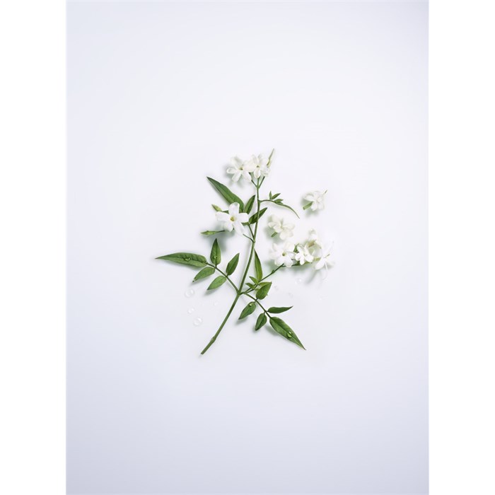 Eau de Parfum Spray