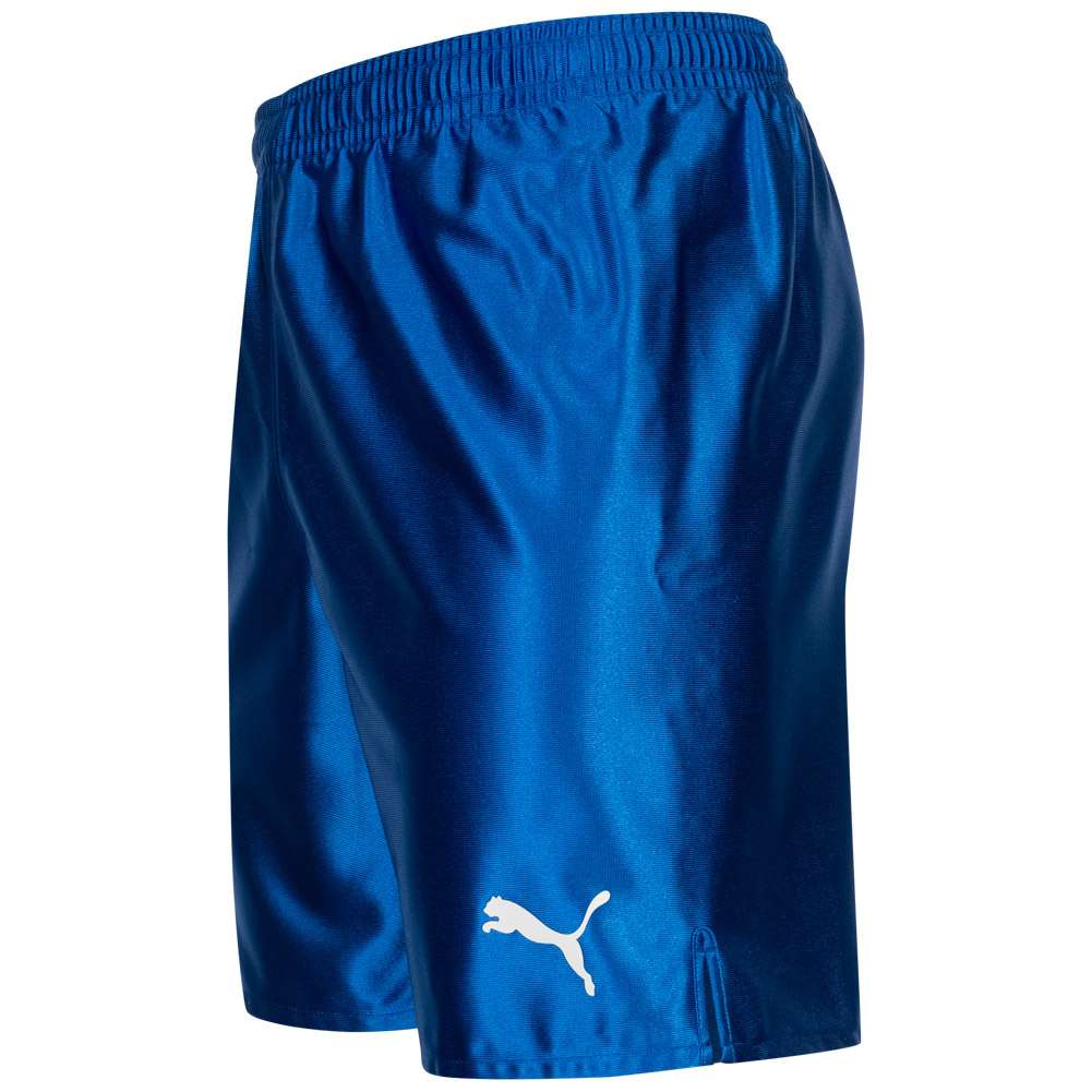 PUMA Game Herren Glanz Shorts 900410-04