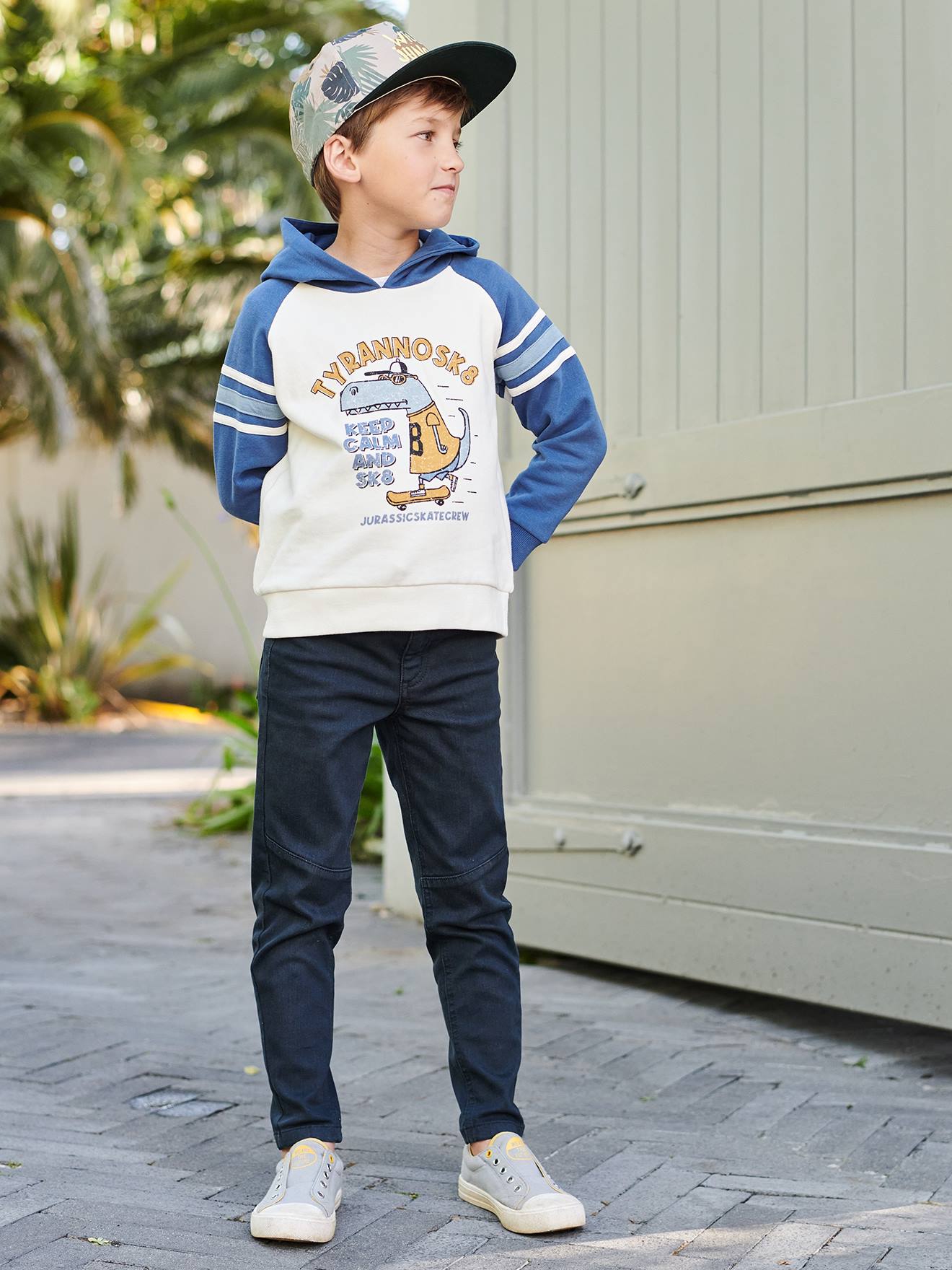 Sweat à capuche animations graphique garçon manches raglan bleu