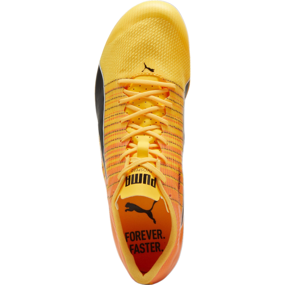 PUMA evoSPEED BRUSH 6 380022-001 / orange
