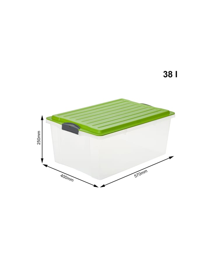 Rotho Compact 3er-Set Aufbewahrungsbox 38l mit Deckel in Grün günstig kaufen onesize