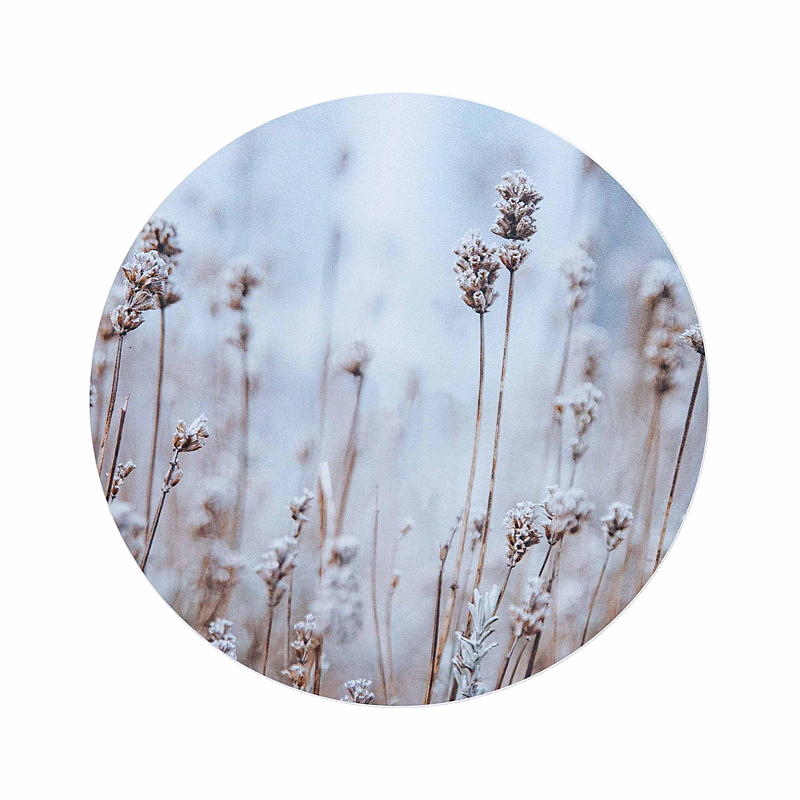 Home Bilde ø 40 cm mdf natur