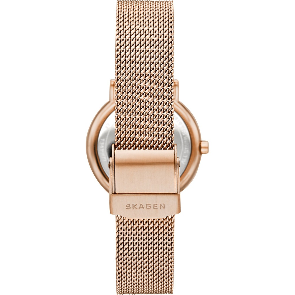 Skagen Montre pour femme Acier inoxydable Montre