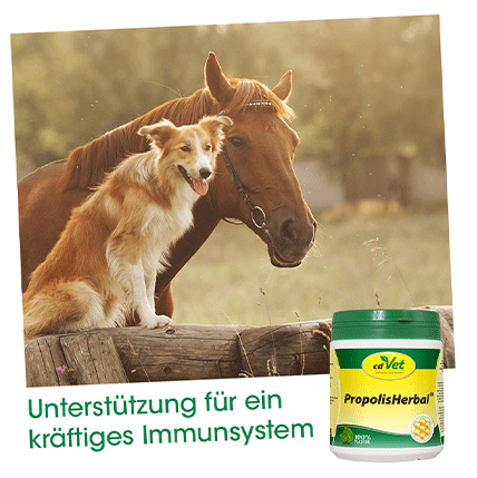 cdVet Ergänzungsfutter & Aufzucht cdVet PropolisHerbal 20g 450 g