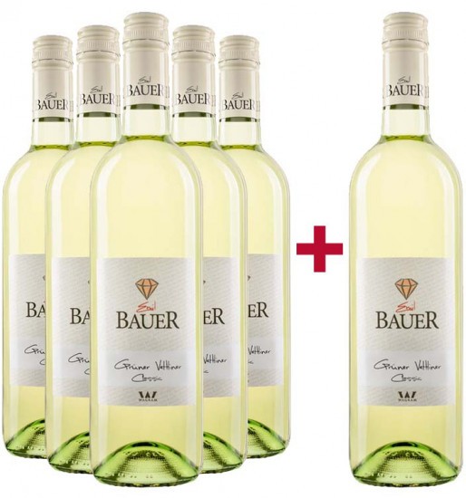 5+1 Paket Riede Marienberg Grüner Veltliner trocken - Weingut Emil Bauer
