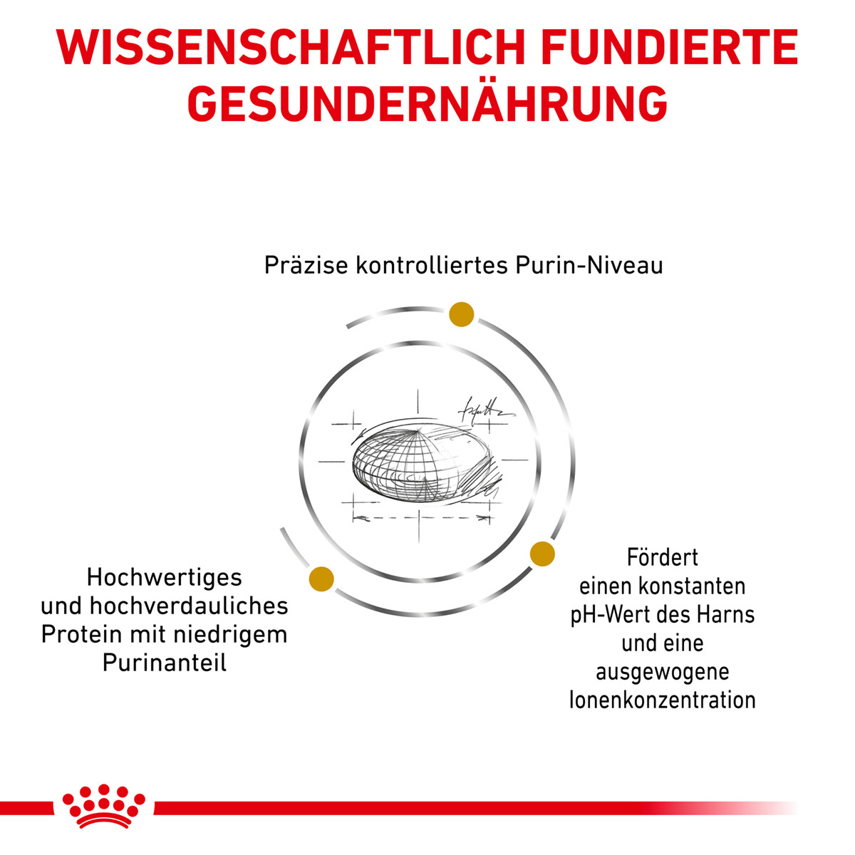 ROYAL CANIN Veterinary URINARY U/C Trockenfutter für Hunde