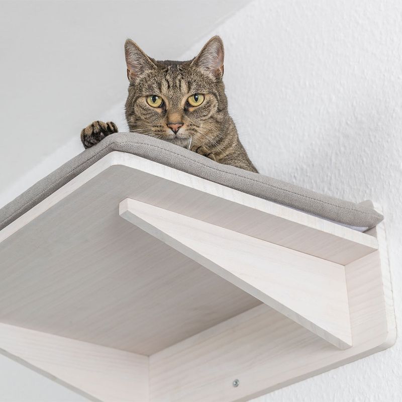 Trixie Liegeplatte mit Kissen zu TOP-Preisen