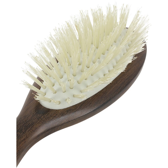 Travel Hair Brush