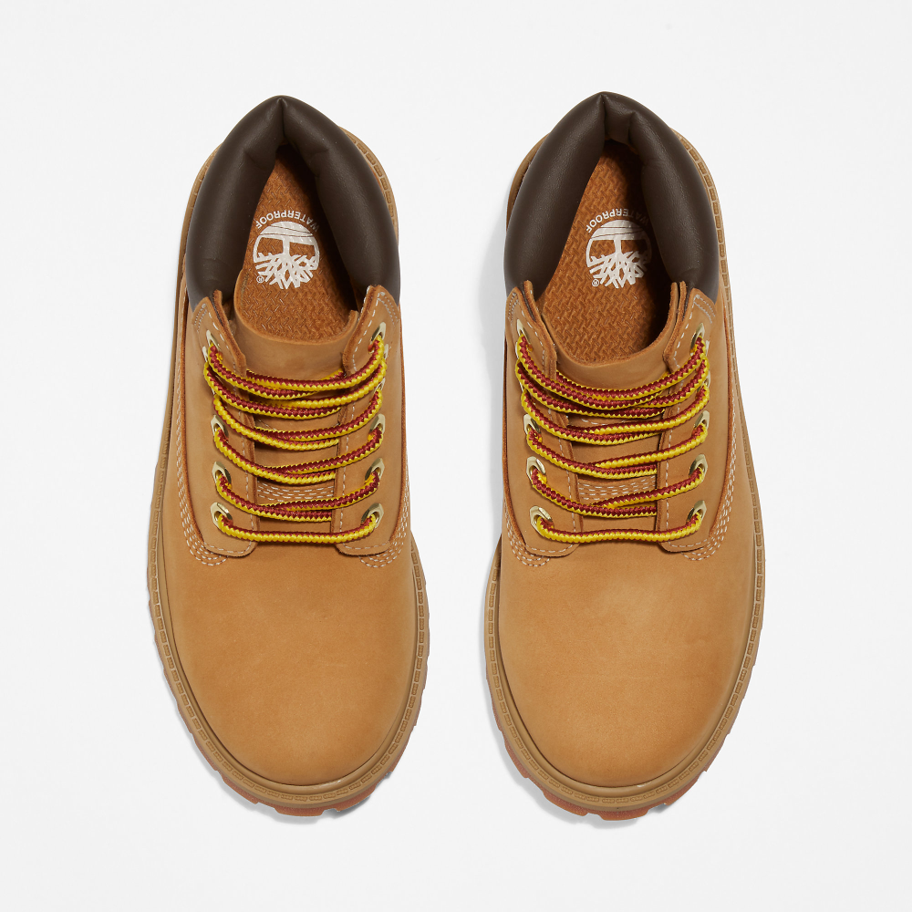 Timberland 6 Inch Premium Boot TB0127097131 / braun
