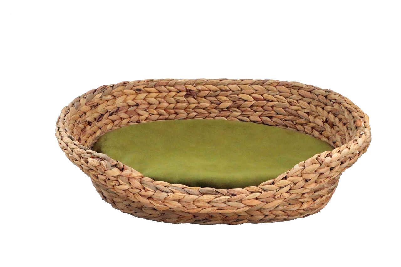Rohrschneider Tierbett-Wasserhyazinthe Samt Gr.1 oliv