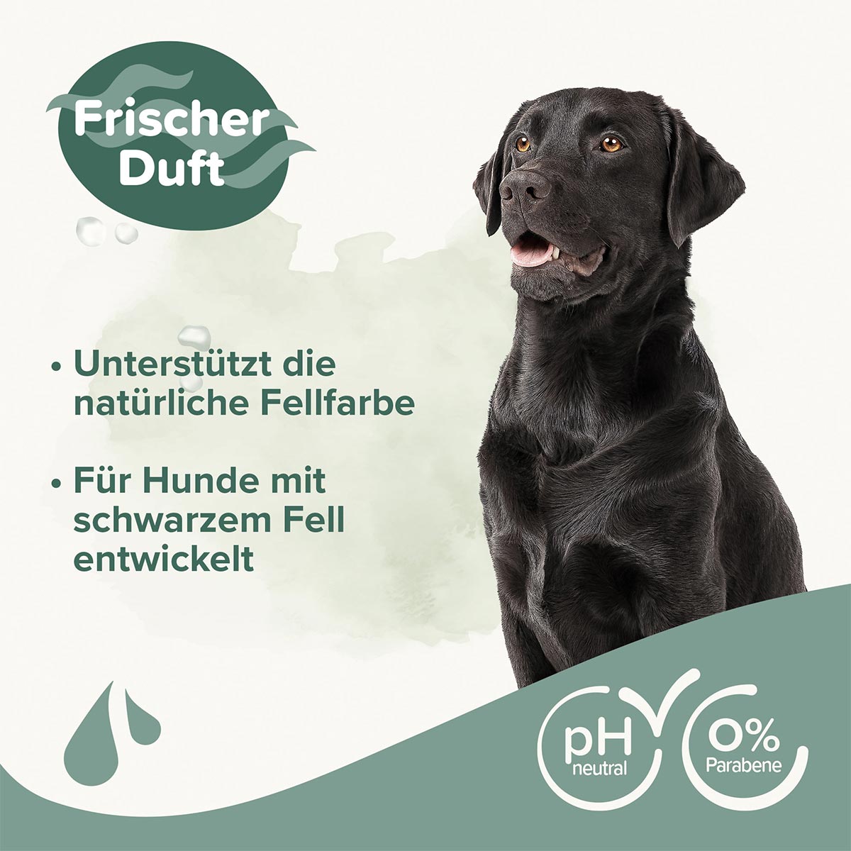 beaphar Shampoo für Schwarzes Fell 250ml kaufen bei ZooRoyal